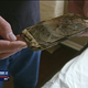 Image for article titled Texas Teen's Cell Phone Catches on Fire While She's Sleeping